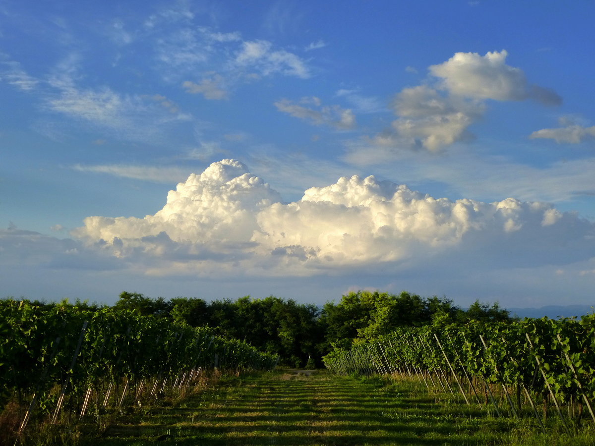 Gewitterwolken vom Tuniberg aus gesehen, Aug.2016