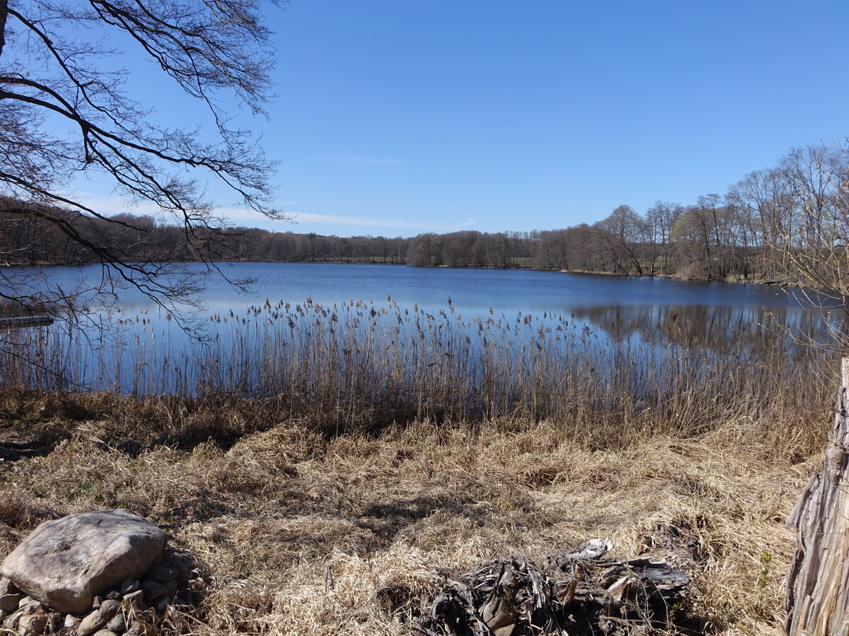 Glambecker See bei Glambeck, Lkr. Barnim (09.04.2026)