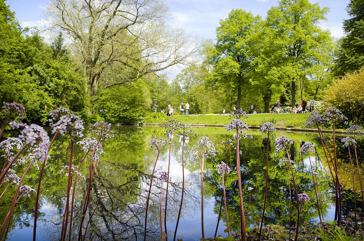 Großer Tiergarten in Berlin. Aufnahme: 4. Mai 2008.