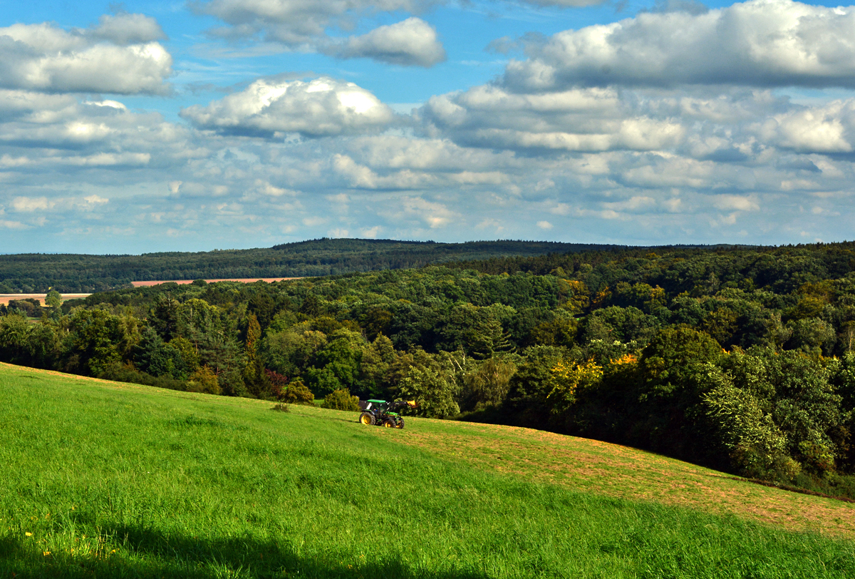  Grüne Hölle , blauer Himmel und ein Traktor am Hang bei der Steinbachtalsperre - 24.09.2015