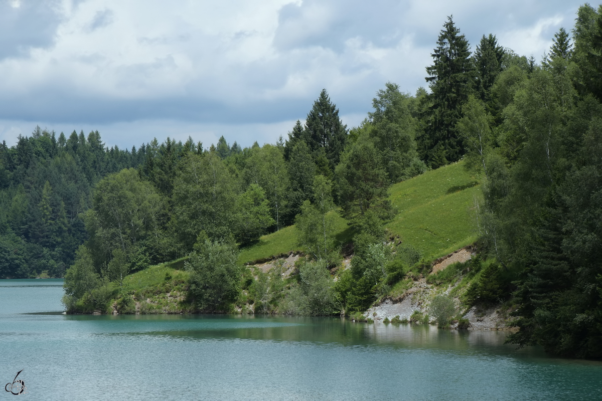 Grünes Ufer am Forggensee. (Waltenhofen, Juli 2017)