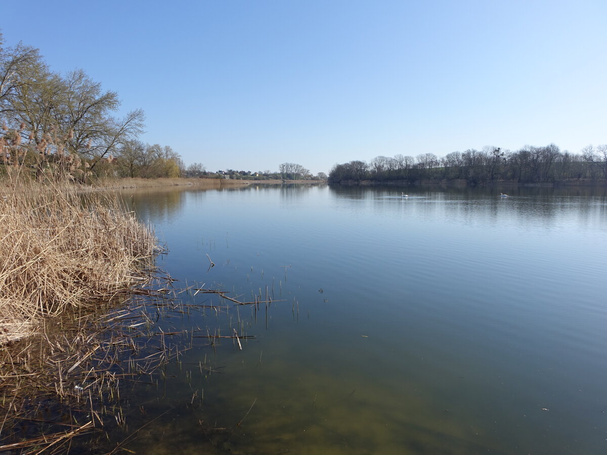 Gr�nower See, Lkr. Uckermark (11.04.2026)