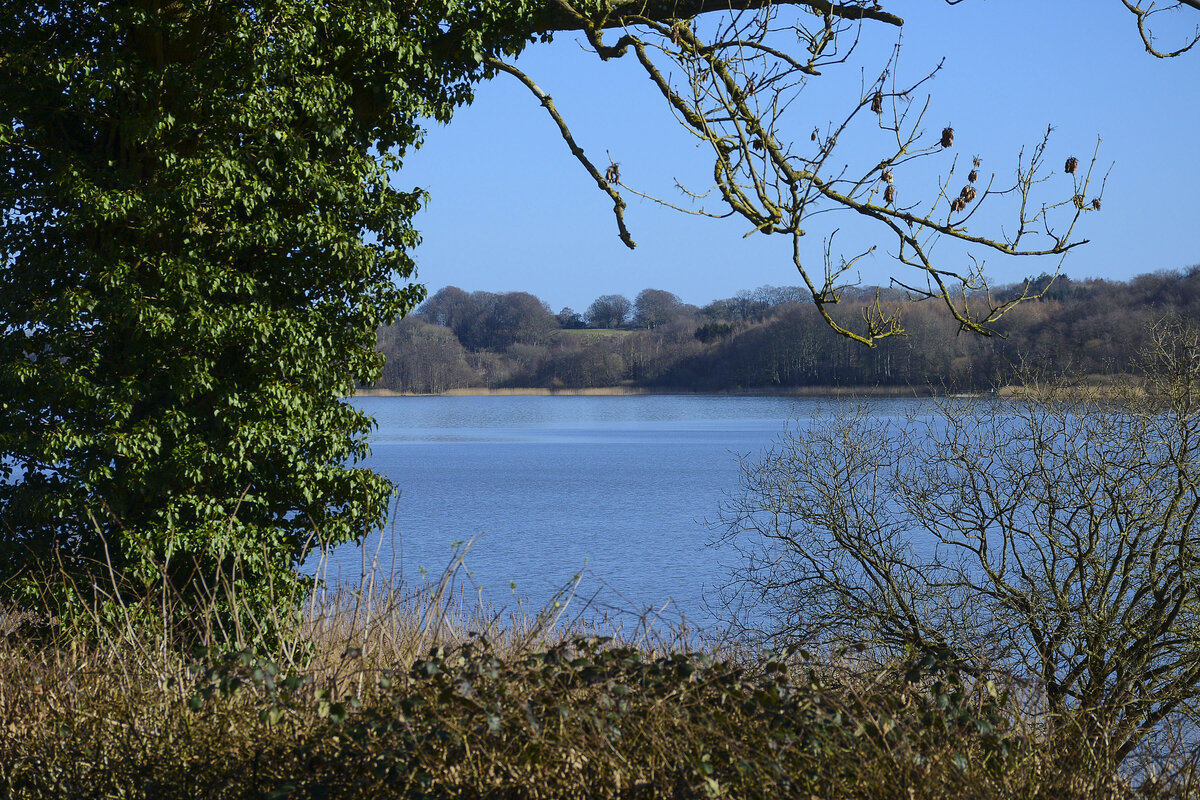 Haderslebener Damm (dänisch Haderslev Dam). Während der westliche Teil des Sees mit seiner teils bewaldeten, teils sumpfigen Umgebung teilweise unter Naturschutz steht, ist der östliche stadtnahe Teil in einen Park integriert. Aufnahme: 26. Februar 2022.