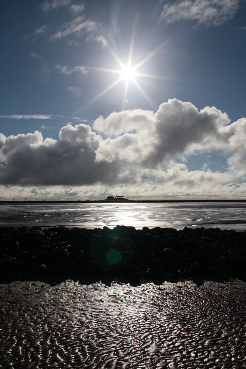 Hallig Nordstrandischmoor am 26.02.2016, Blick vom Watt aus nördlicher Richtung zur Neuwarft.