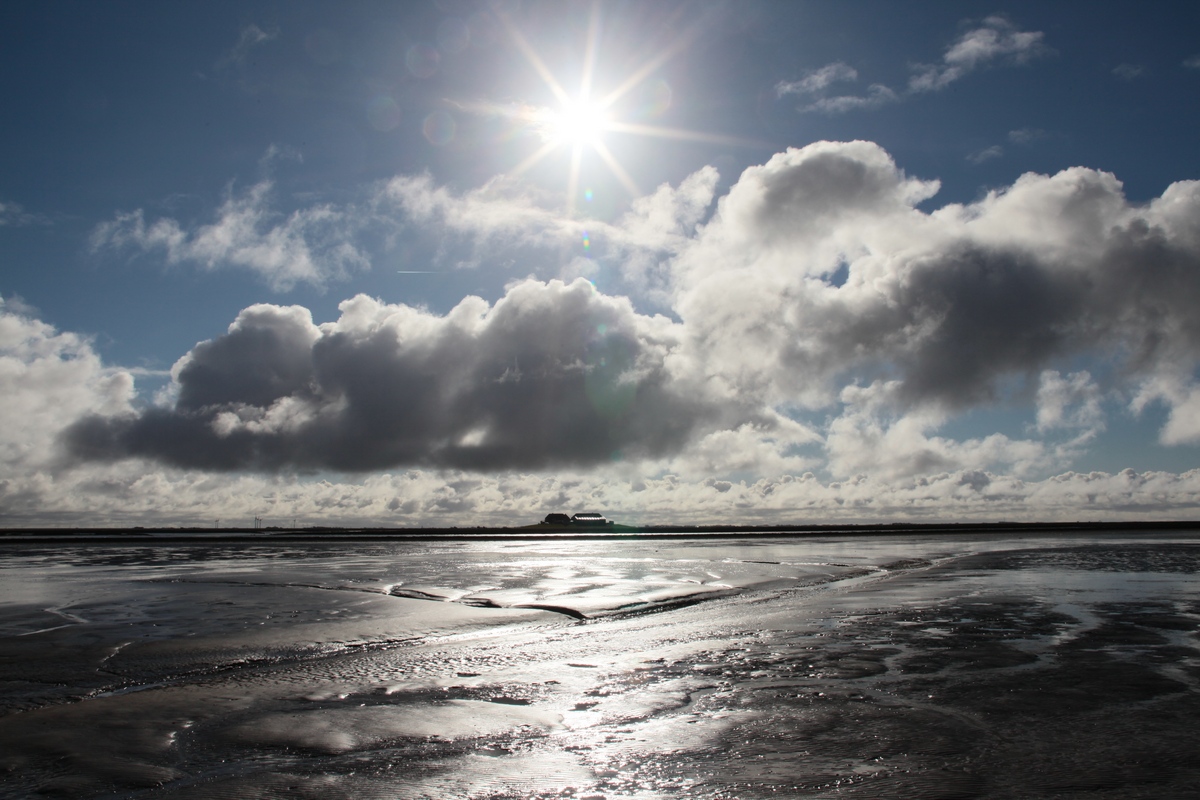 Hallig Nordstrandischmoor, Blick von Norden zur Neuwarft am 26.02.2016