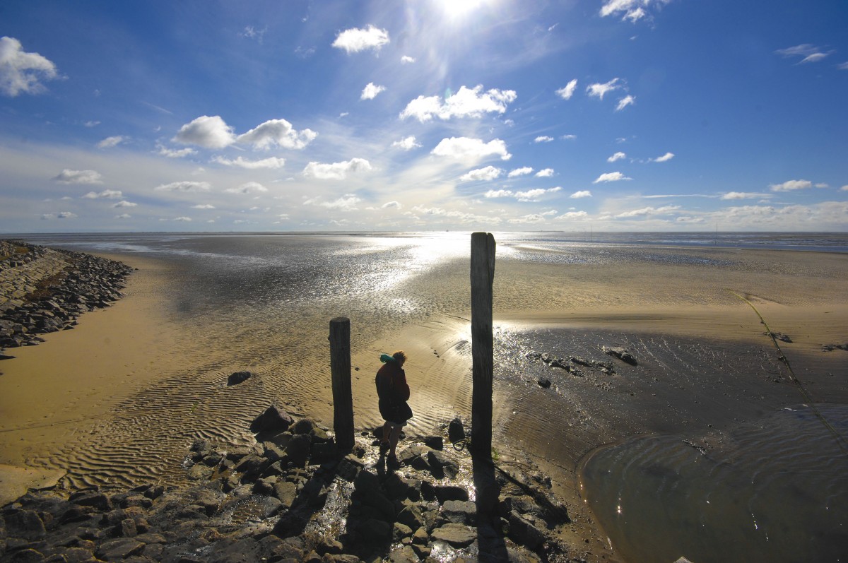 Hallig Süderoog. Aufnahmedatum: 22. September 2012.