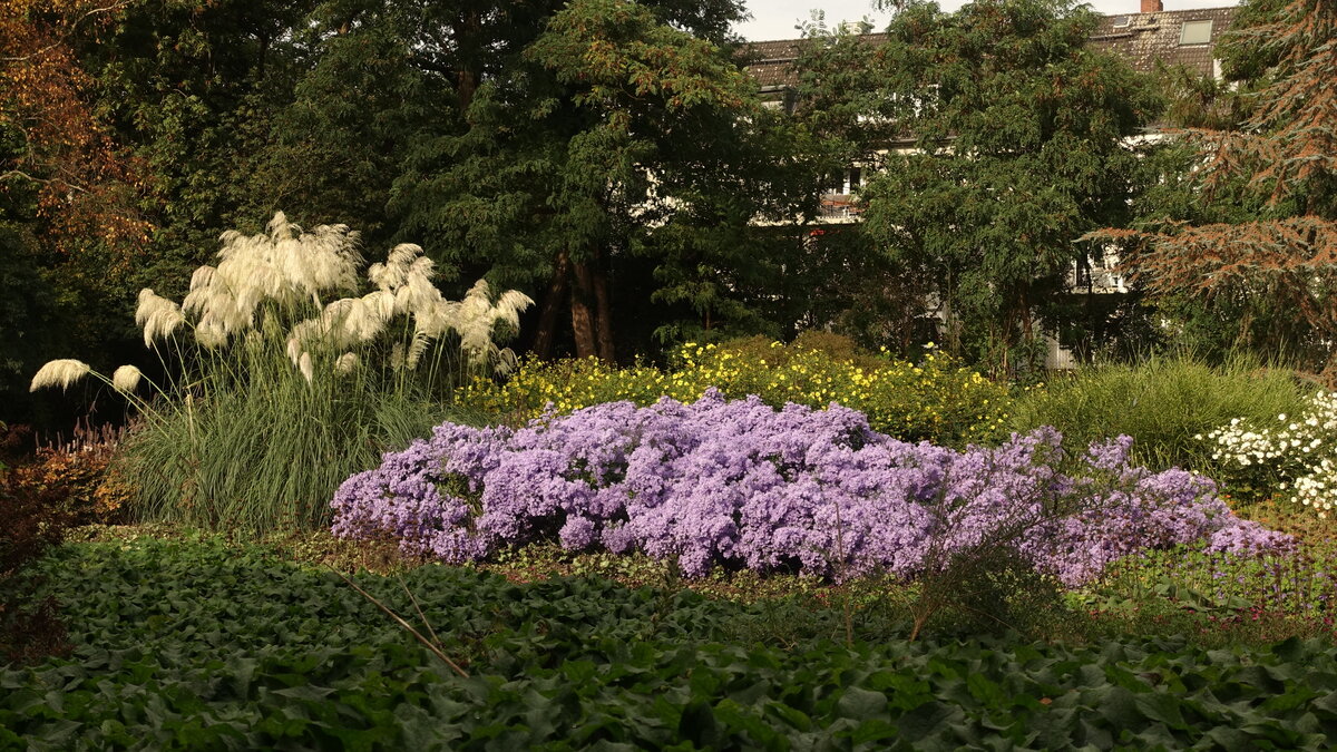 Hamburg am 10.10.2021: Impressionen im Botanischen Sondergarten Wandsbek