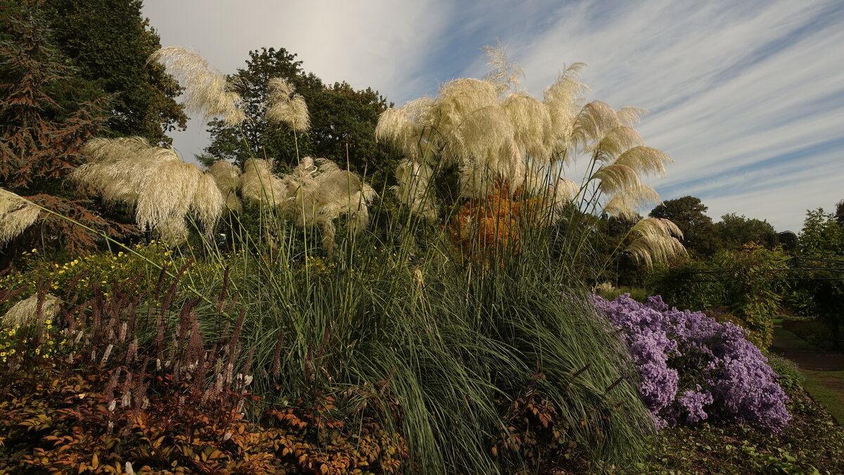 Hamburg am 10.10.2021: Impressionen im Botanischen Sondergarten Wandsbek