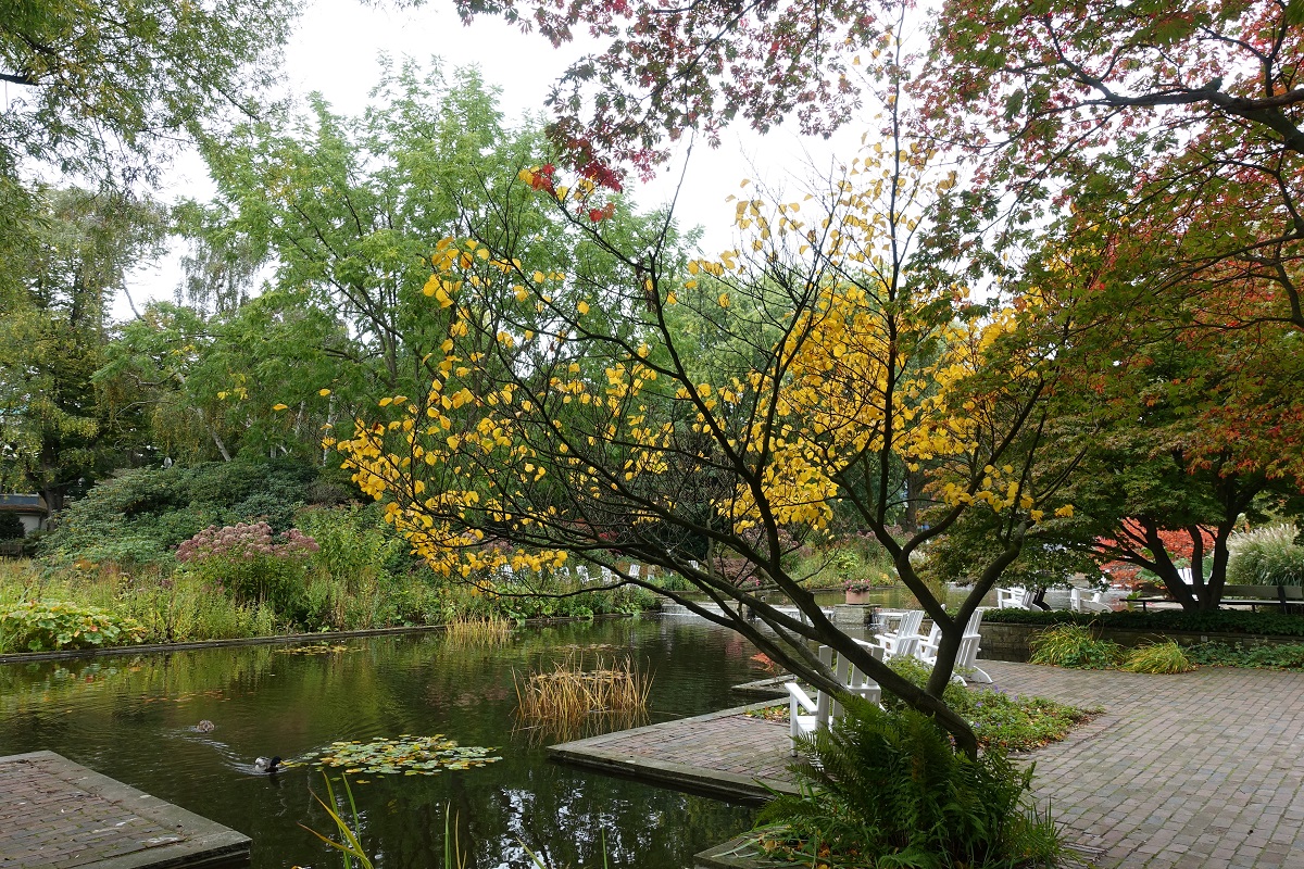 Hamburg am 11.10.2020: Herbstlicher Park Planten un Blomen /