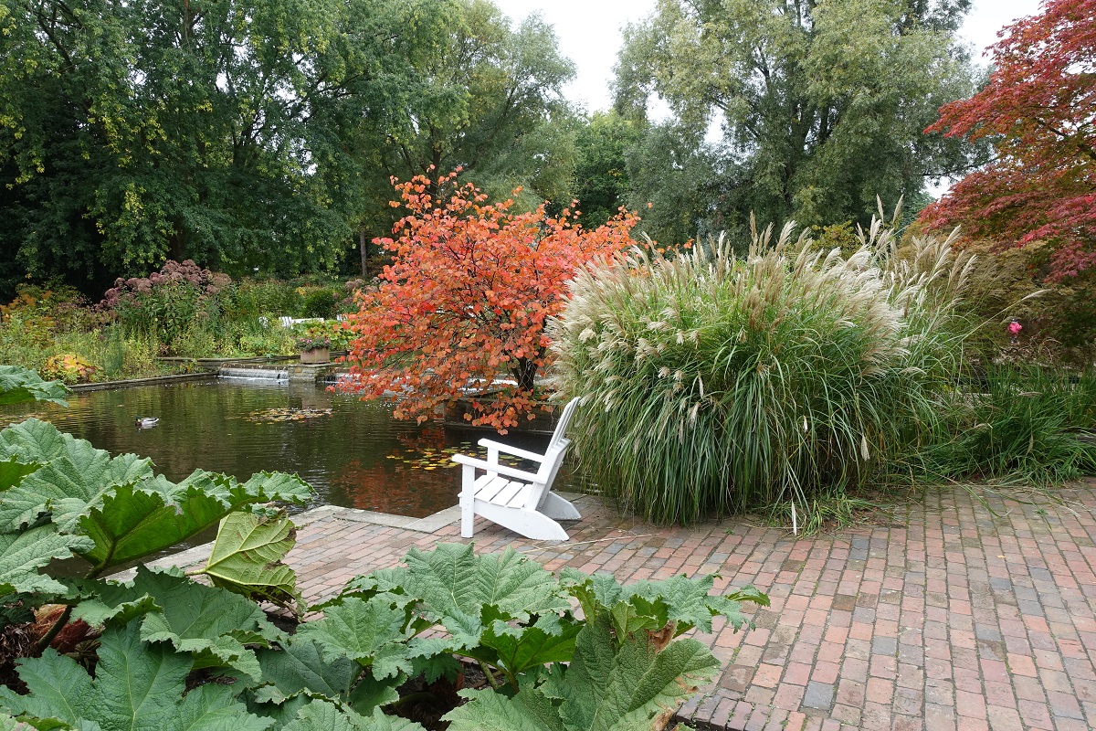 Hamburg am 11.10.2020: Herbstliches im Park Planten un Blomen /