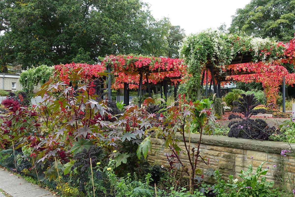 Hamburg am 11.10.2020: Herbstliches im Park Planten un Blomen /