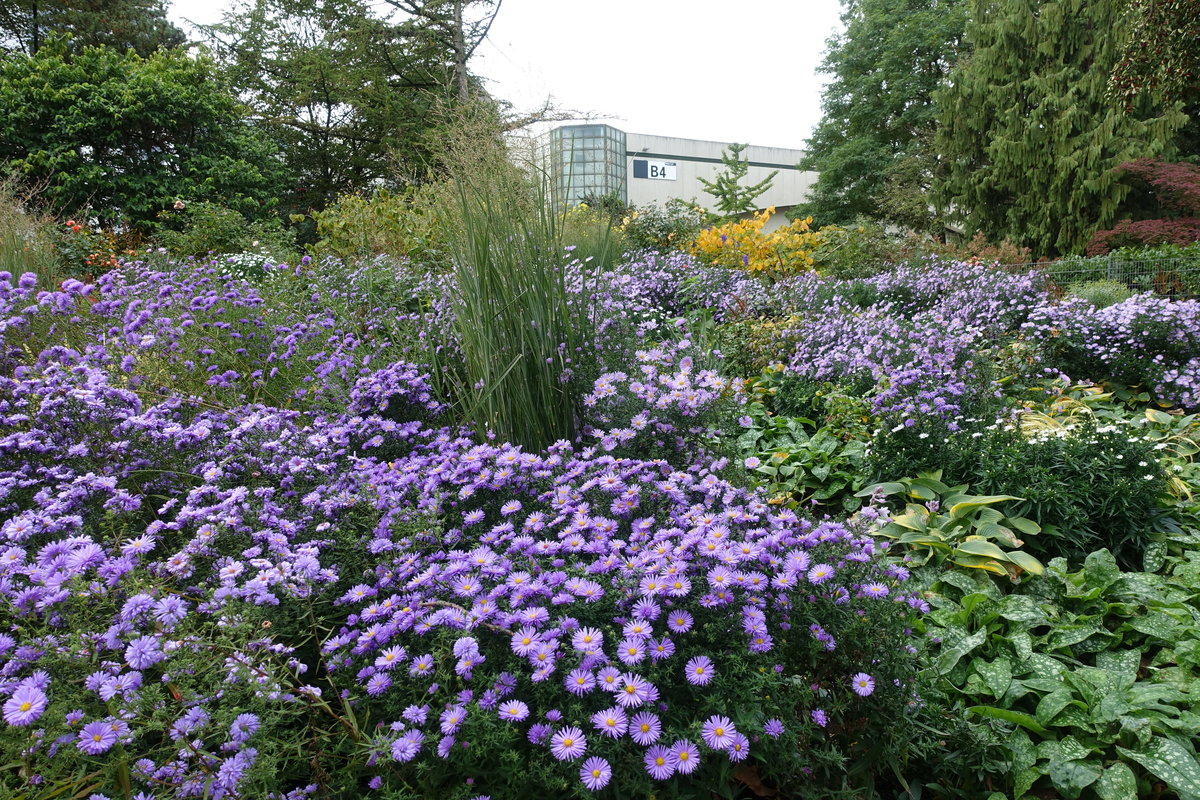 Hamburg am 11.10.2020: Herbststimmung in Planten un Blomen /