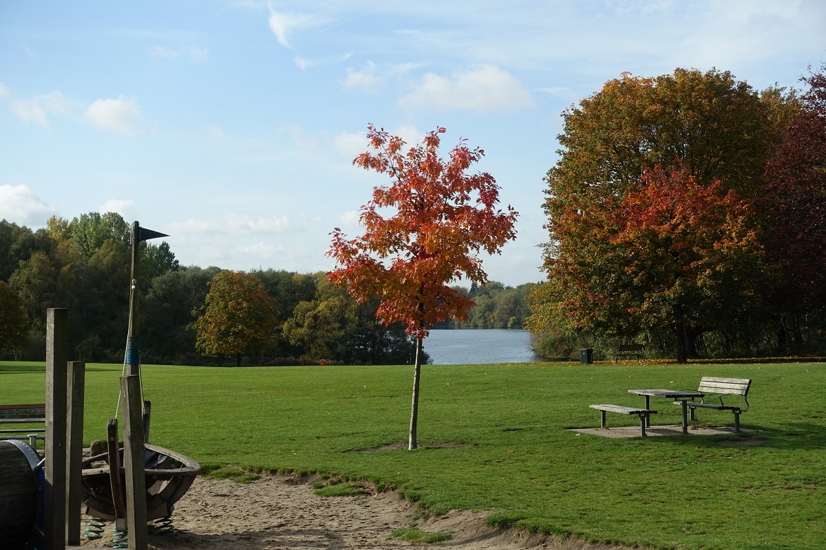 Hamburg am 14.10.2019: im Öjendorfer Park am östlichen Rand der Stadt /