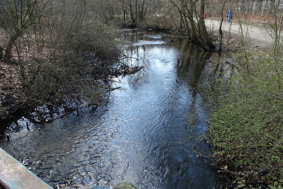 Hamburg am 17.3.2021: Das Flüßchen Wandse hier im Stadtteil Hinschenfelde am Botanischen Sondergarten Wandsbek, sie mündet im Stadtteil Hohenfelde in die Alster, nachdem sie im Unterlauf Eilbek und Eilbekkanal heißt /