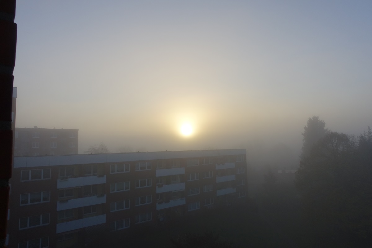 Hamburg, Sonnenaufgang am 27.11.2020 um 8:47 Uhr, ein paart Minuten später war der Nebel aufgelöst /