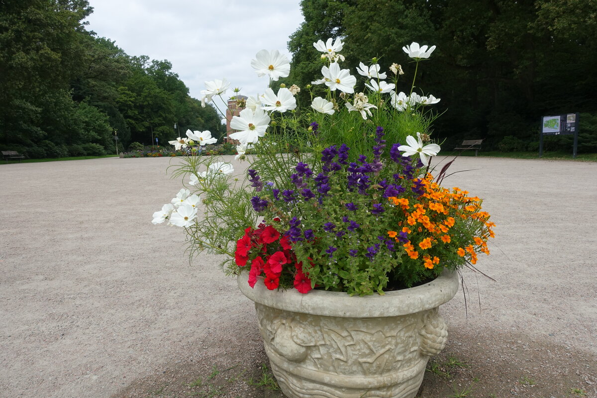 Hamburg-Winterhude am 22.7.2021: durch die Stadtparkgärtner sommerlich bepflanztes  Bodengefäß /