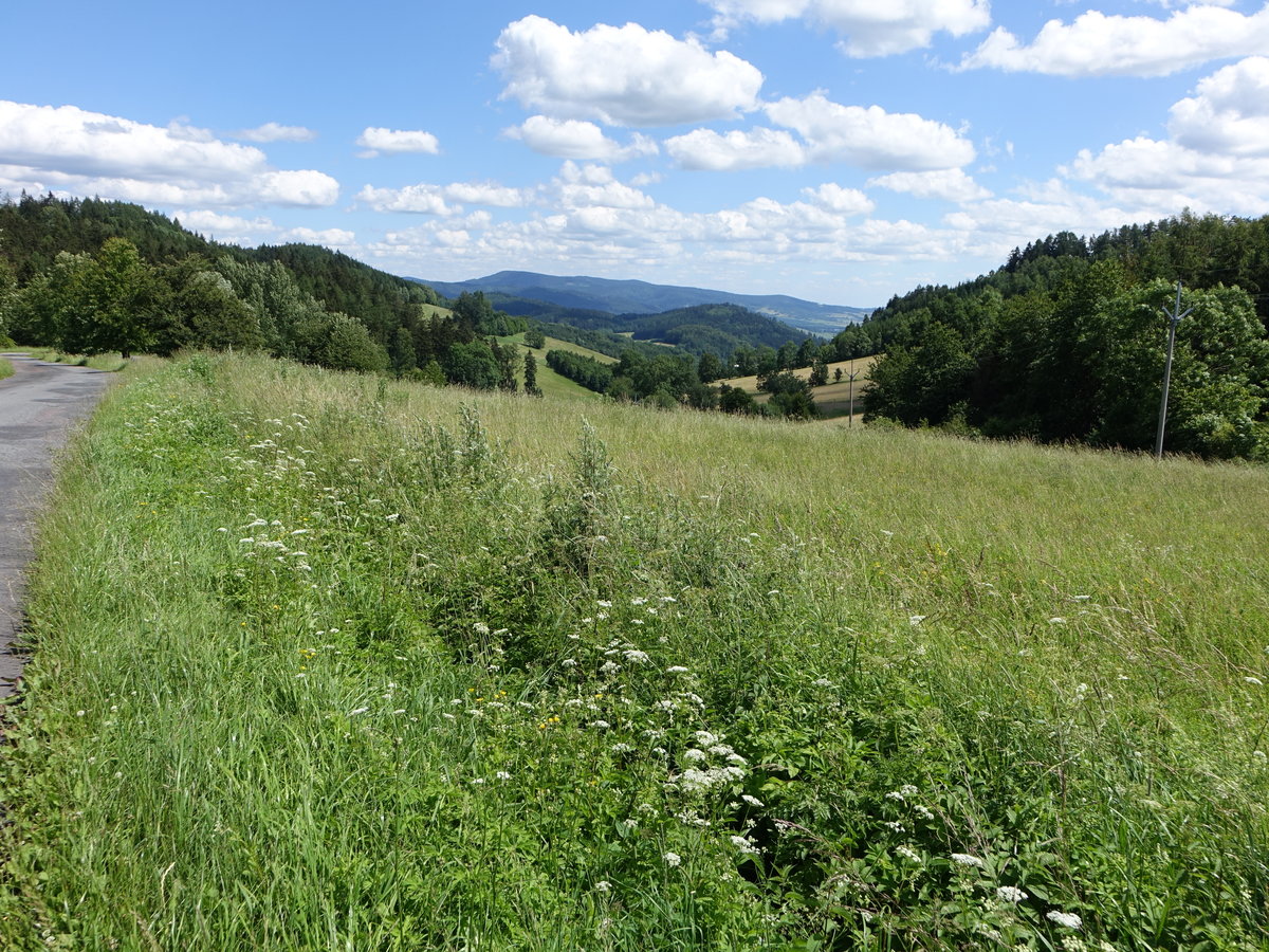 Hannsdorfer Bergland bei Koprivna, Mittelmähren (29.06.2020)