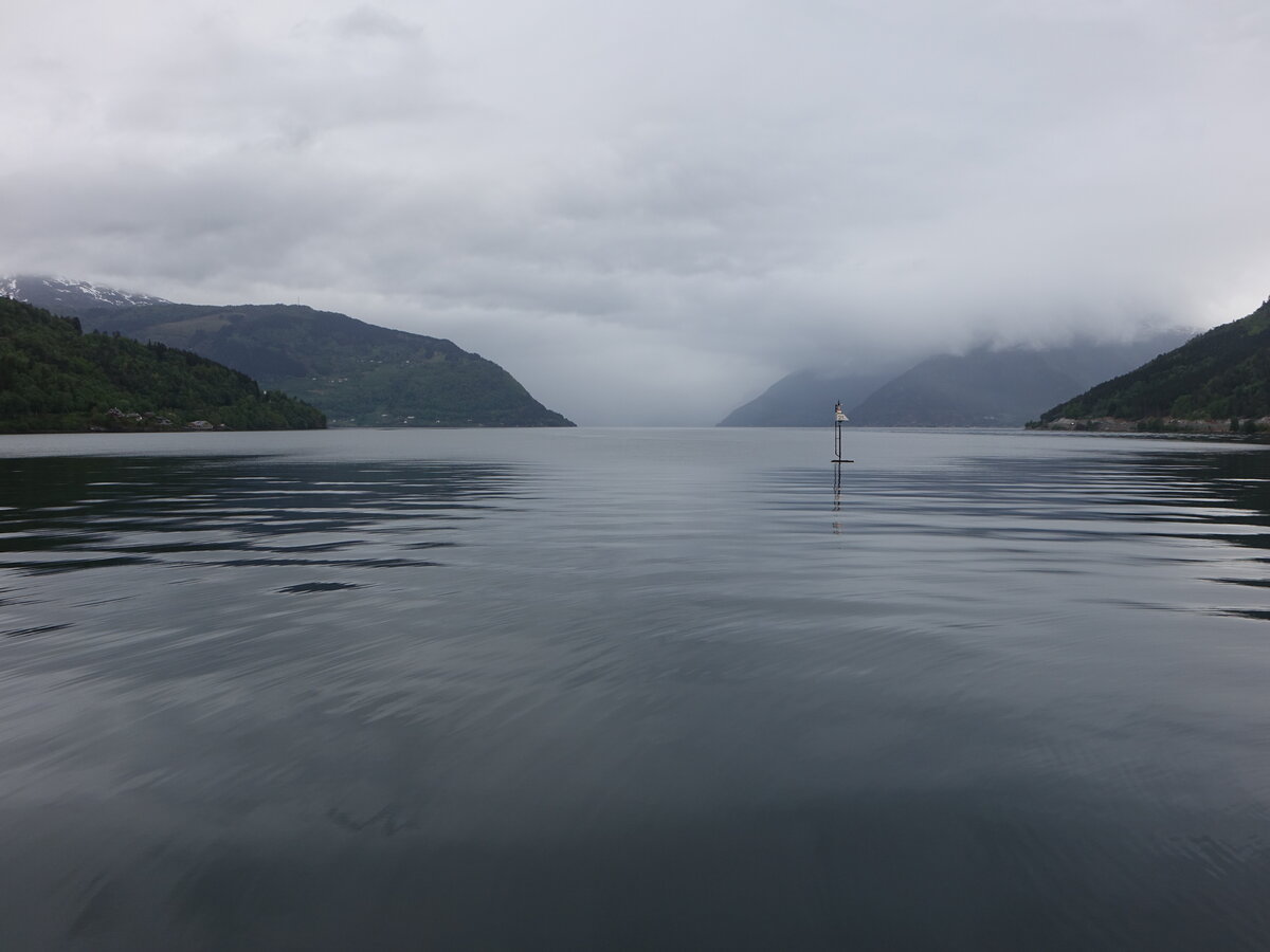 Hardangerfjord bei Kinsarvik, Vestland (27.05.2023)