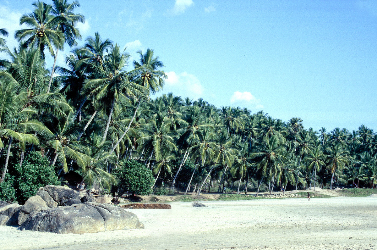 Hawa Beach vor Kovalam in Kerala. Bild vom Dia. Aufnahme: Dezember 1988.