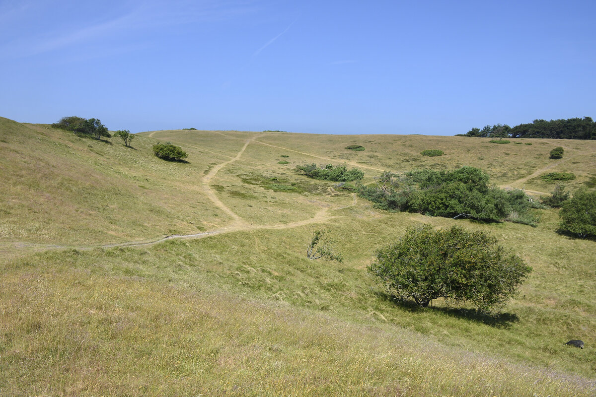 Heatherhill ist ein offenes naturgeschütztes Gebiet mit schönen von Gras und Heidekraut bewachsenen Hügeln, die an die Natur im schottischen Hochland erinnern können. Aufnahme: 22. Juni 2023.