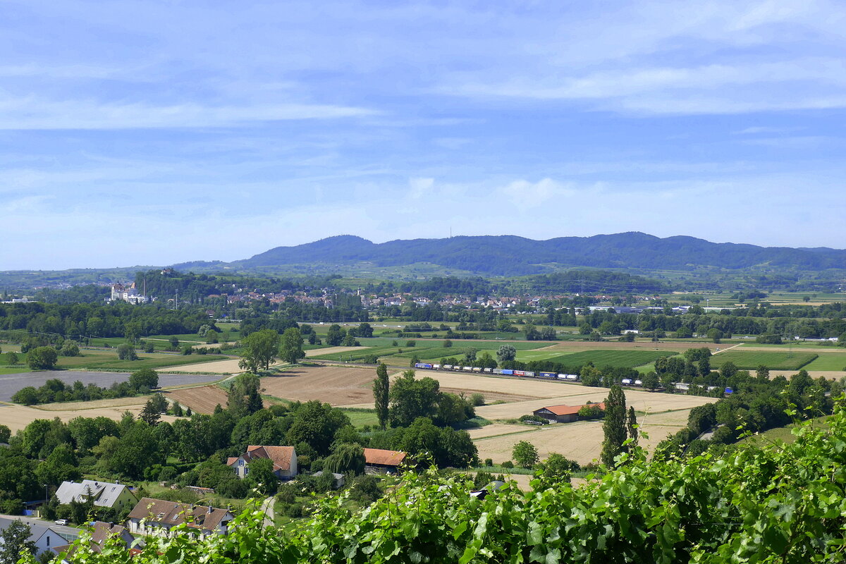 Hecklingen, Blick von der Burgruine Lichteneck zum Kaiserstuhl, davor der Ort Riegel, Juli 2022