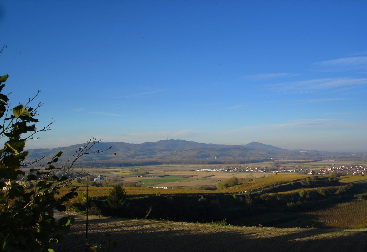 Herbst am Tuniberg, Blick zum Kaiserstuhl, Nov.2005