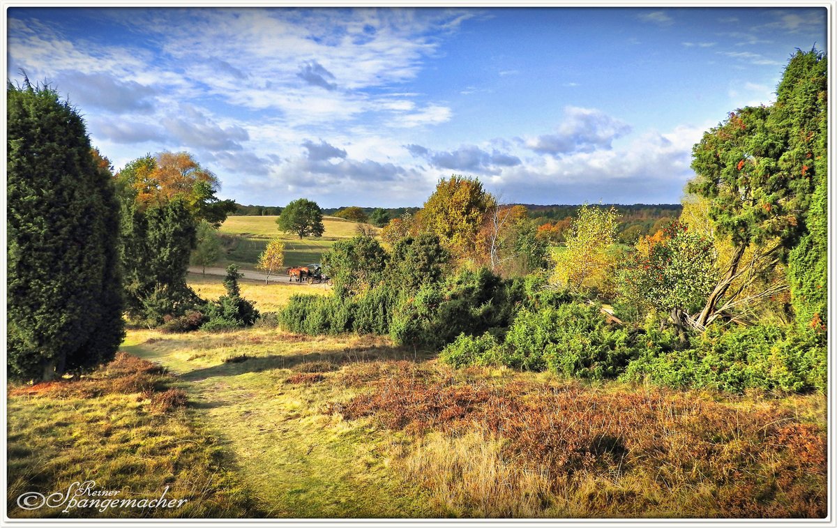 Herbst am Turmberg bei Oberhaverbeck, der Blick geht Richtung Heidetal. 29. Oktober 2016