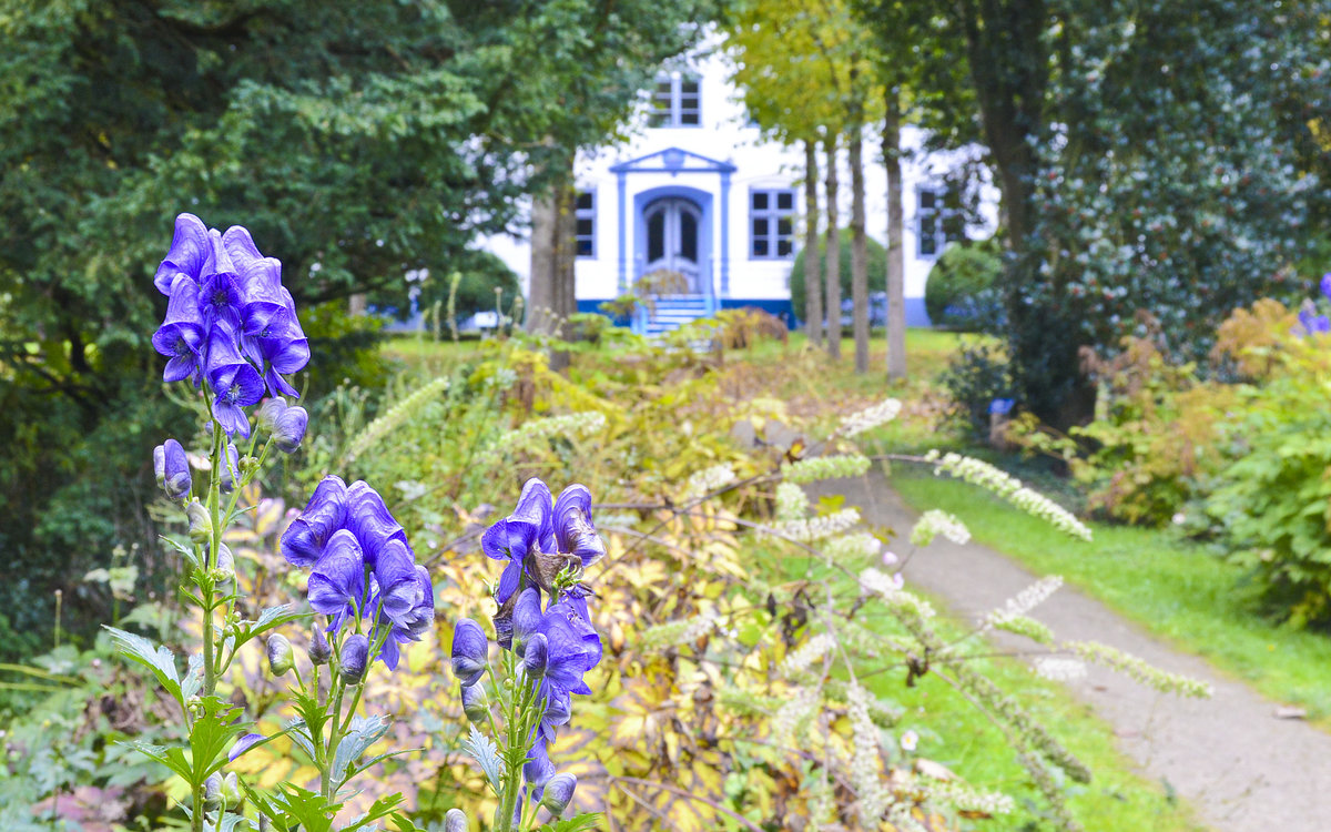 Herbst im Hochdorfer Garten in Tating auf der Halbinsel Eiderstedt (Nordfriesland). Aufnahme: 20. Oktober 2020.