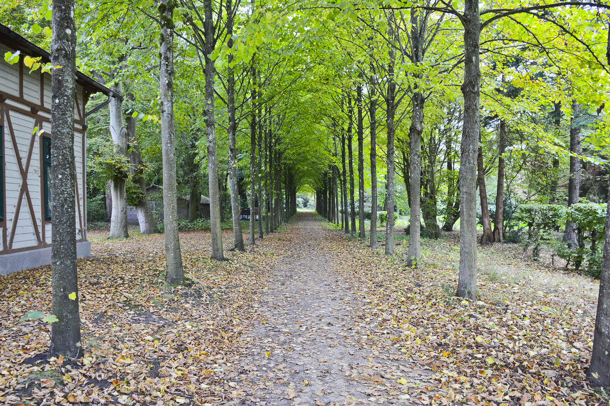 Herbst im Hochdorfer Garten in Tating auf der Halbinsel Eiderstedt (Nordfriesland). Aufnahme: 20. Oktober 2020.