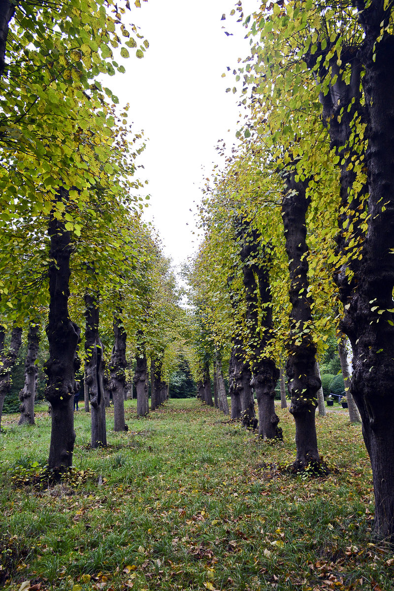 Herbst im Hochdorfer Garten in Tating auf der Halbinsel Eiderstedt (Nordfriesland). Aufnahme: 20. Oktober 2020.