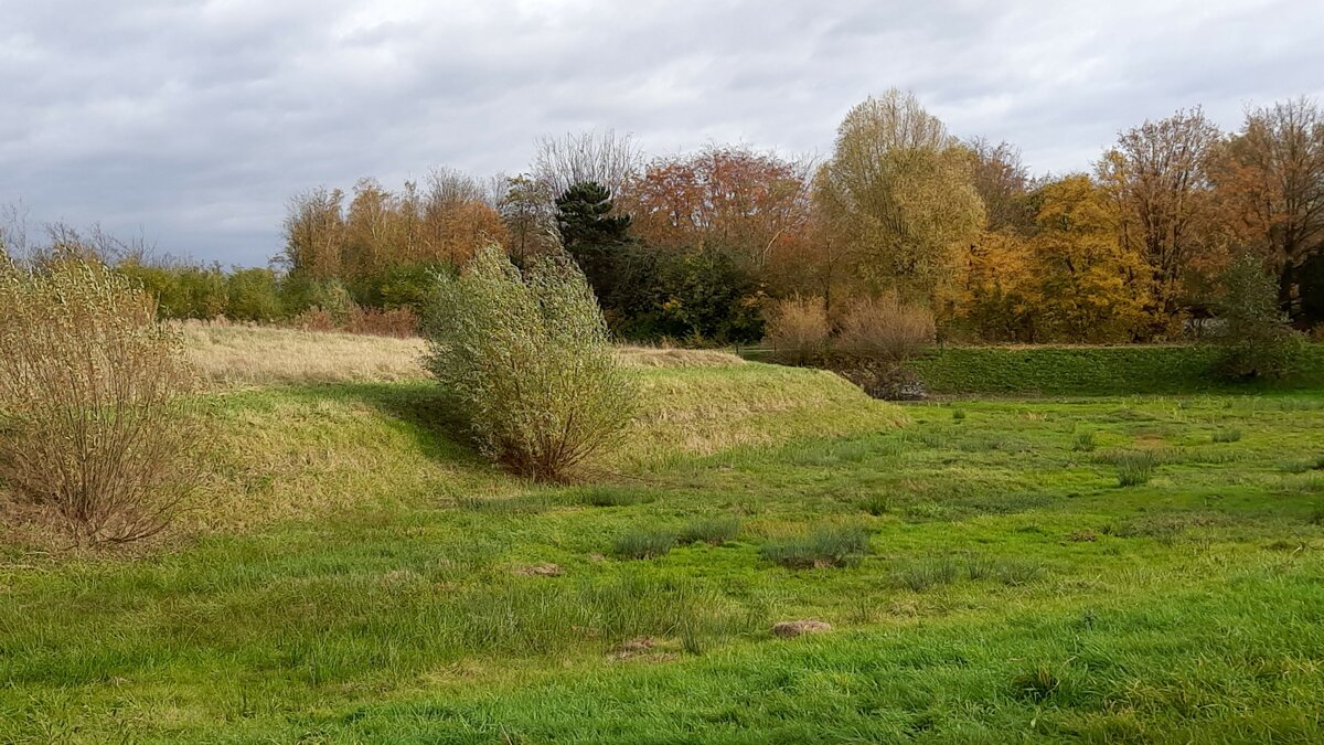 Herbst in der Maybacher Heide (Recklinghausen), am 30.10.2021.