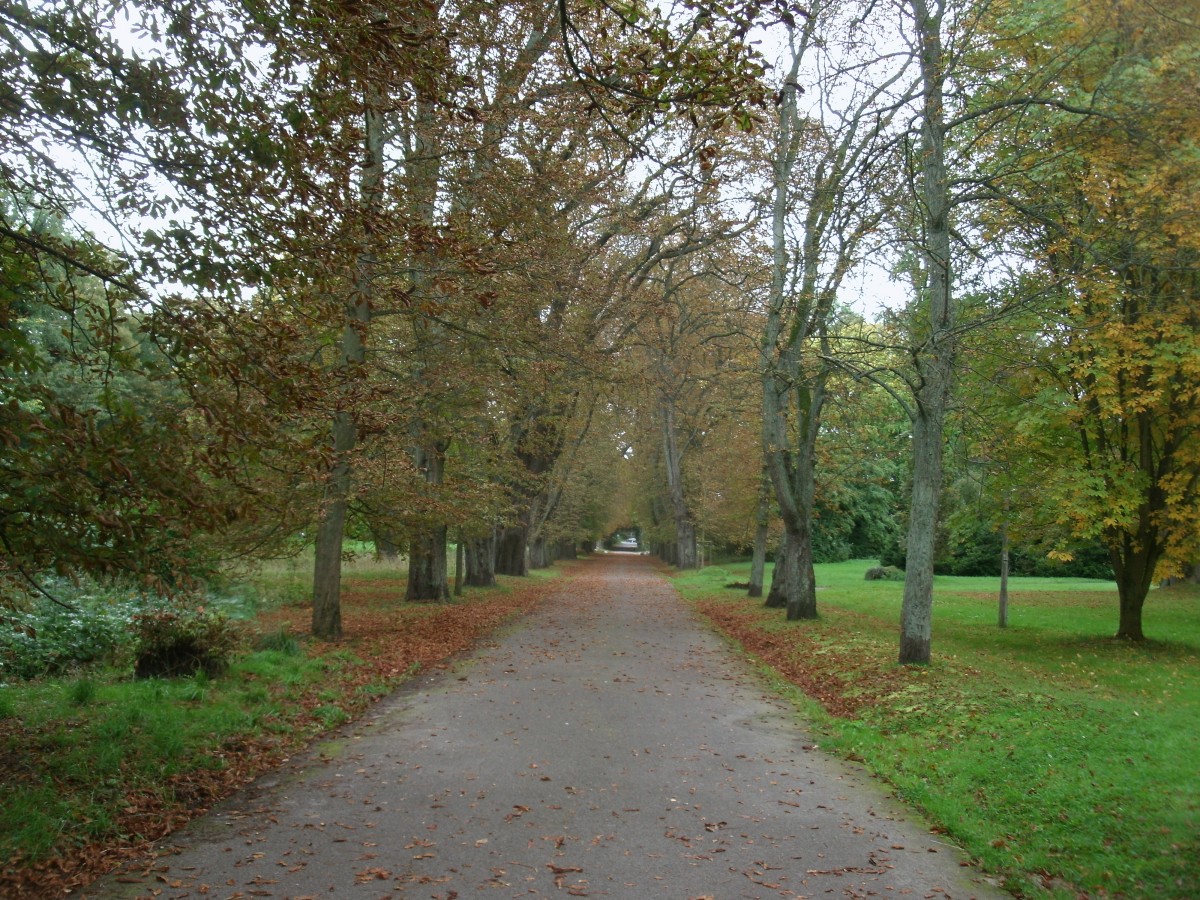 Herbst im Putbuser Park.Aufgenommen am 29.September 2013.