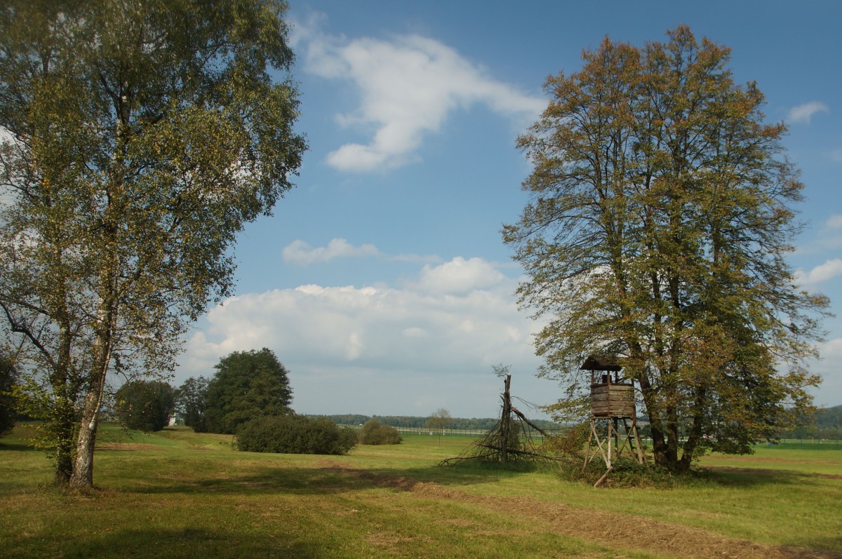 Herbstbeginn im Naturschutzgebiet  Altläufe Glatt  bei Oberglatt am Pistenende 16 (22.09.2014)