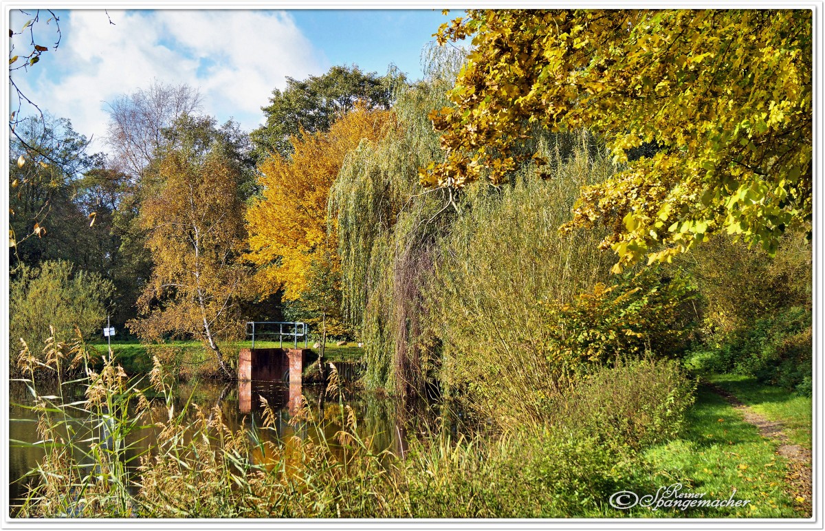 Herbstfärbung am Fleetsee-Regenrückhaltebecken bei Fintel/Heiderandgebiet, Oktober 2015 
