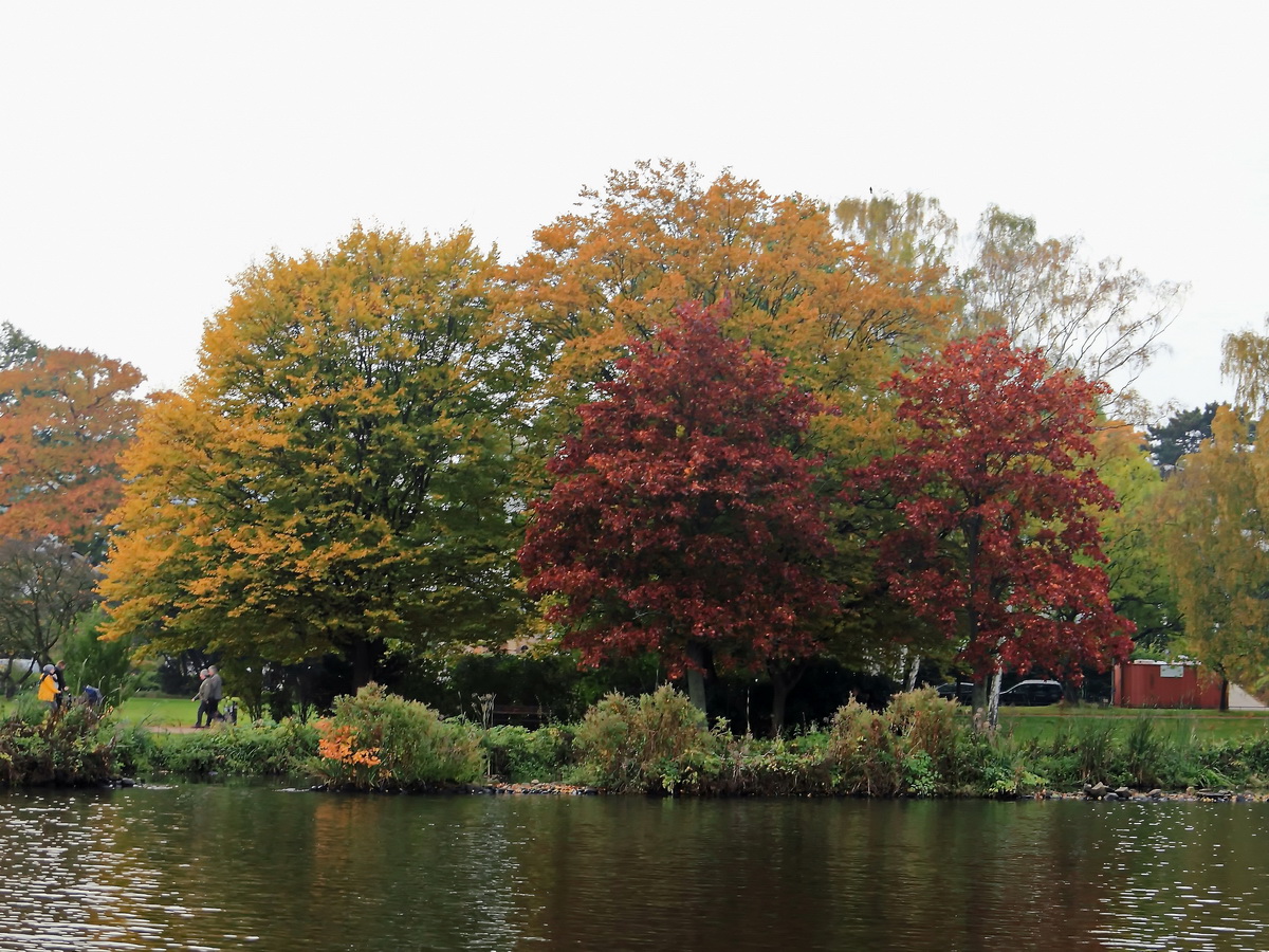 Herbstfarben am 24. Oktober 2016 im Alsterpark in Hamburg.