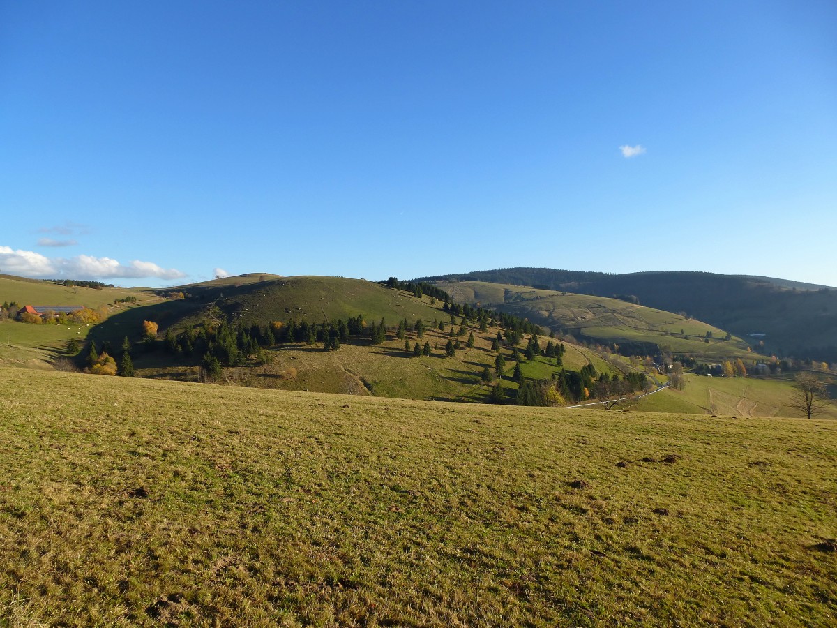 herbstliche Landschaft am Schauinsland, Nov.2015