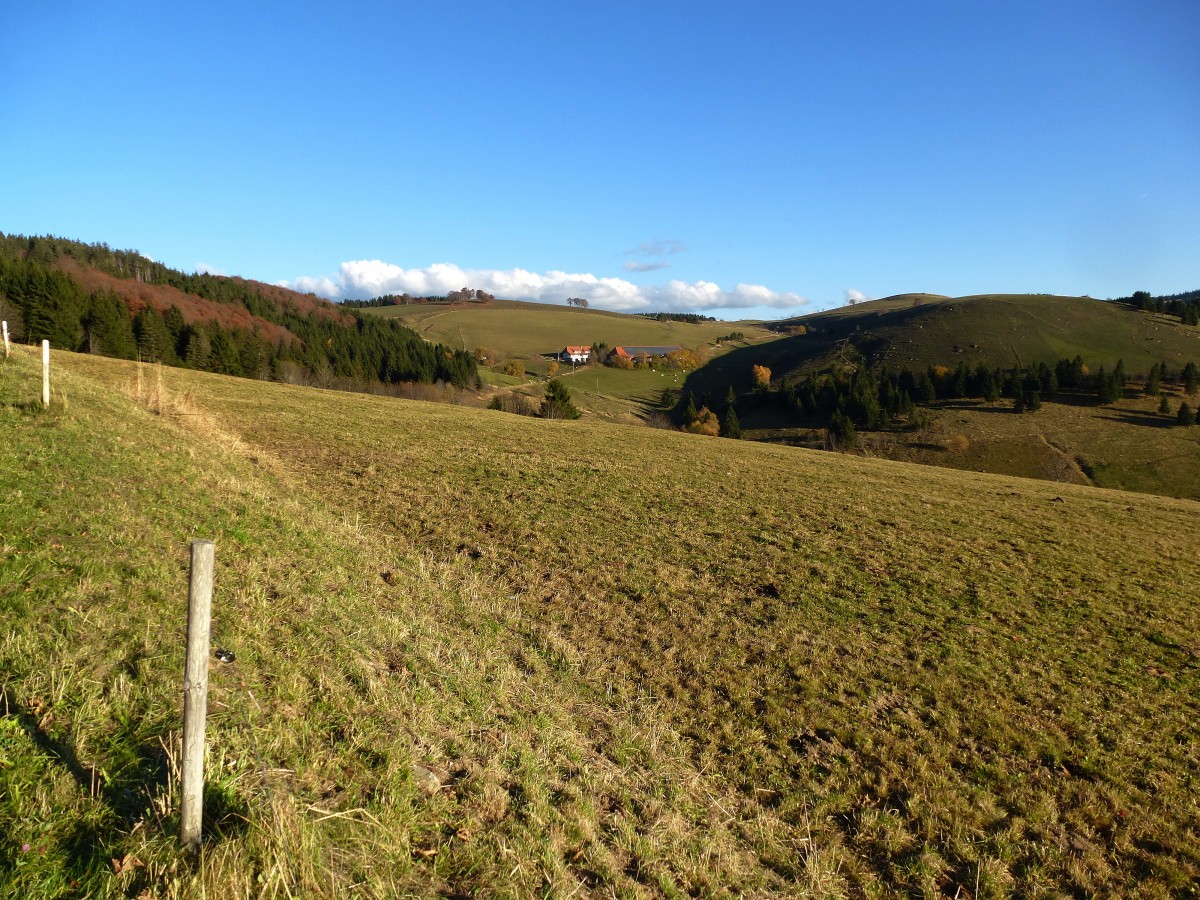 herbstliche Landschaft am Schauinsland, Nov.2015