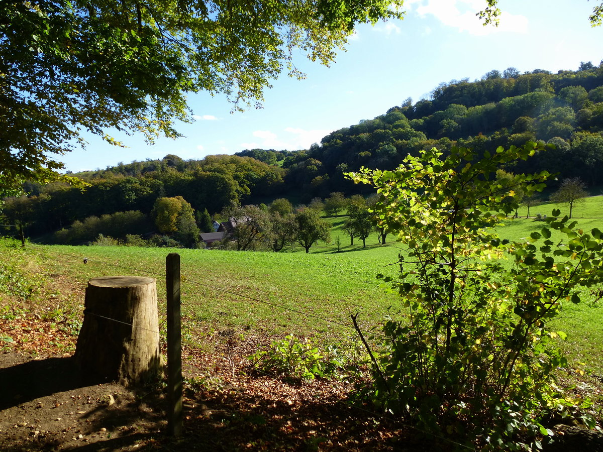 herbstliche Landschaft auf dem Schönberg bei Freiburg, Okt.2014