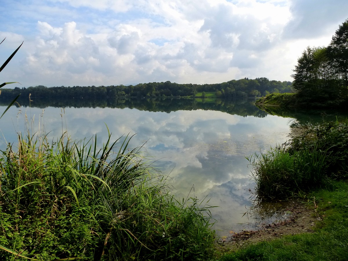 Herbstliche Stimmung am Opfinger See in der Rheinebene, Okt.2013