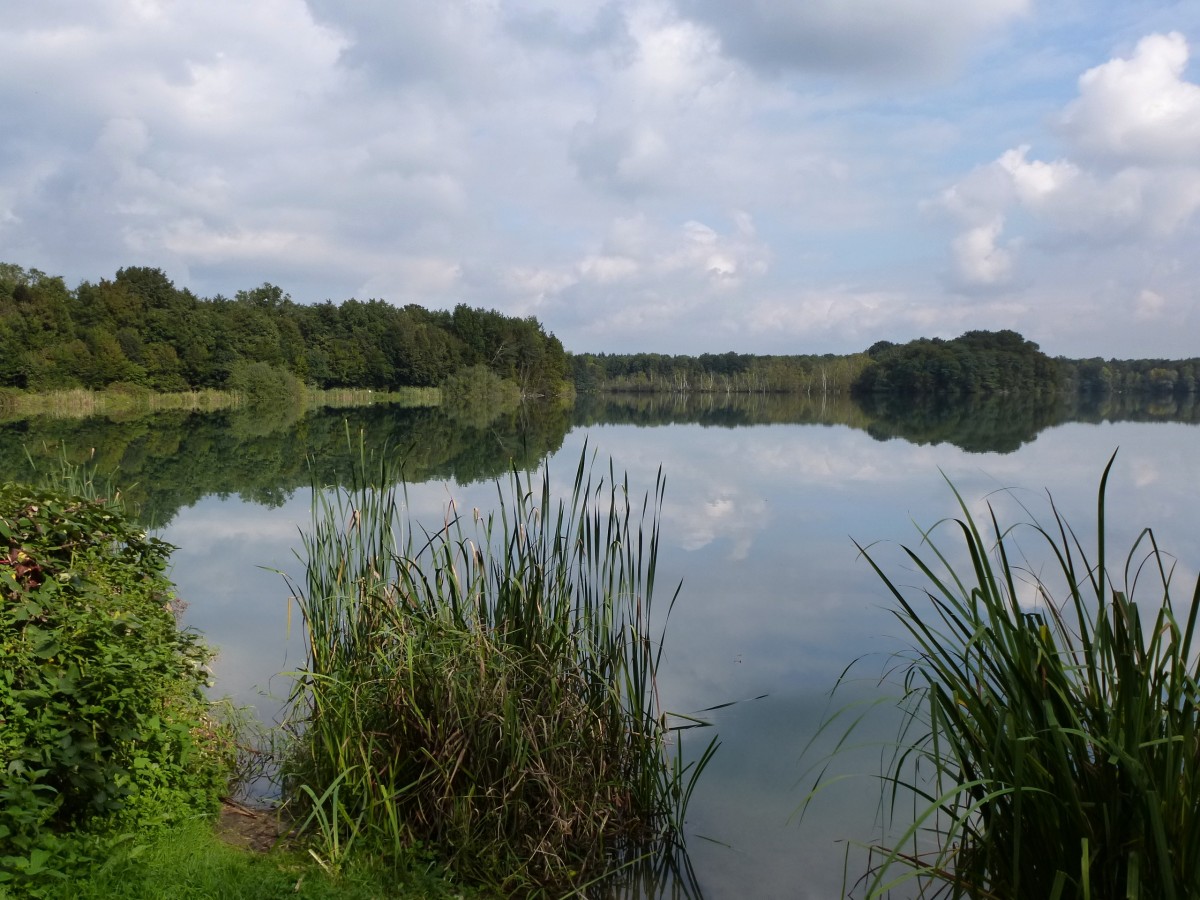 Herbstliche Stimmung am Opfinger See in der Rheinebene, Okt.2013