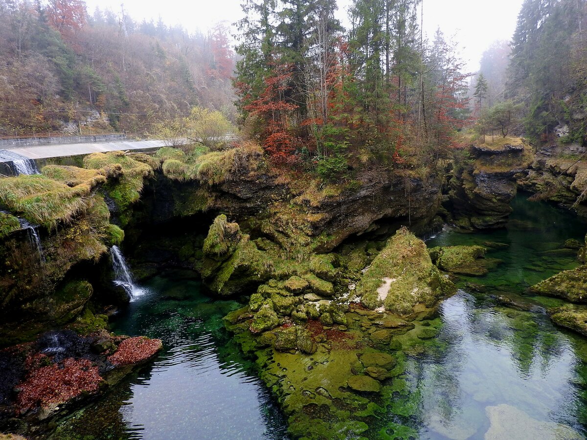 Herbstliche Umgebung im Bereich Traunfall; 211112