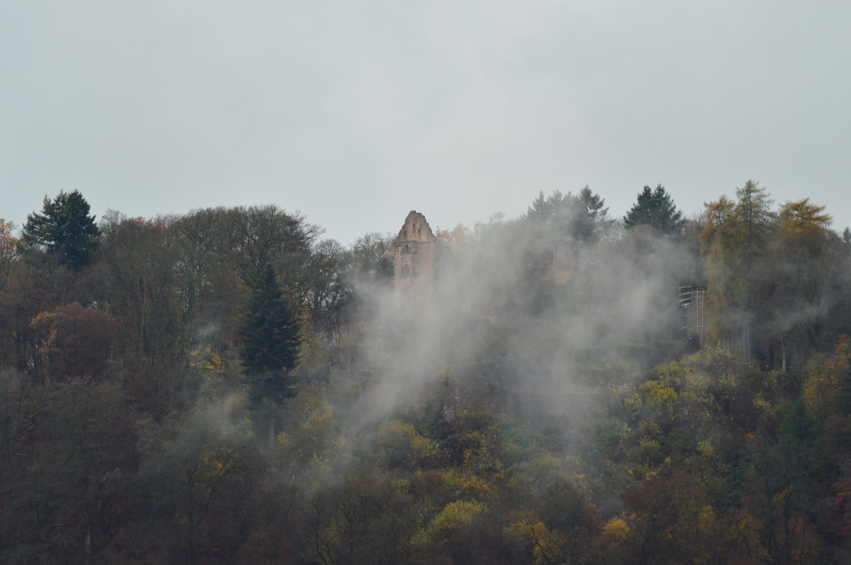 Herbstlicher Blick auf die Minneburg bei Neckargerach Sonntag den 16.11.2014