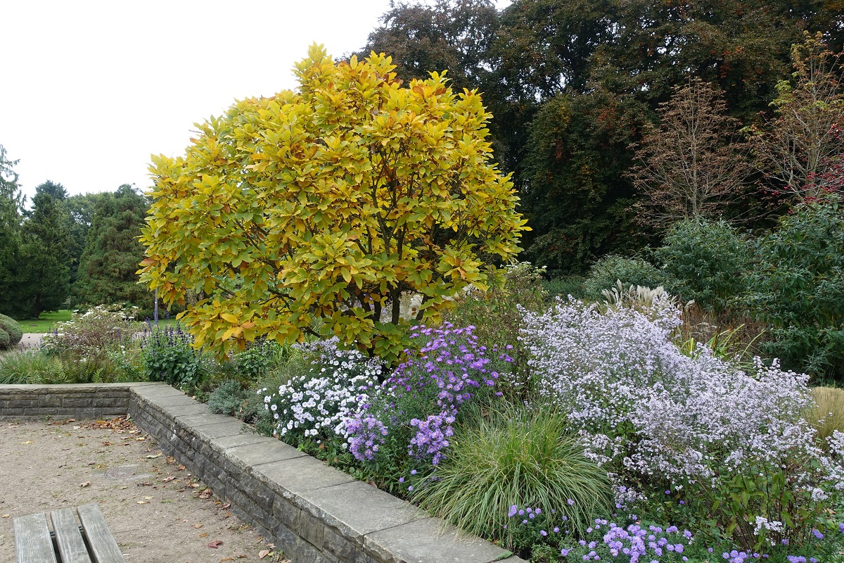 Herbstlicher Oktober im Hamburger Stadtpark am 20.+23.10.2020 /