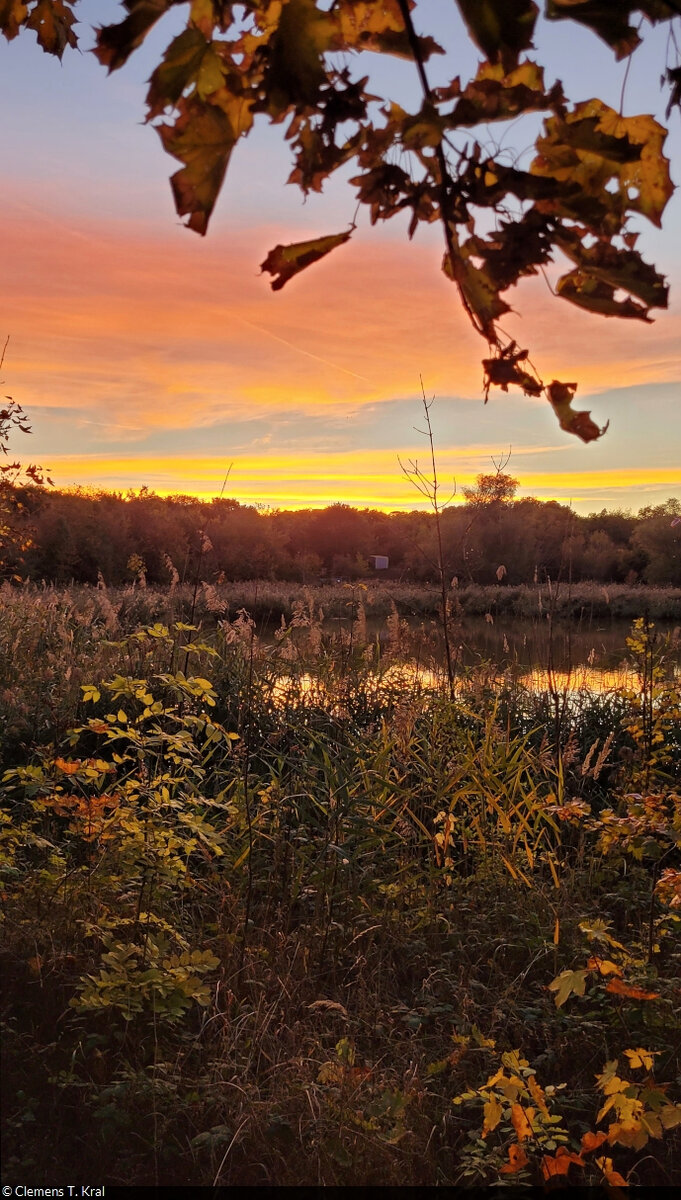 Herbstliches Abendrot über dem Ottoteich, direkt neben dem Heidesee in Halle-Nietleben.

🕓 5.10.2022 | 18:55 Uhr