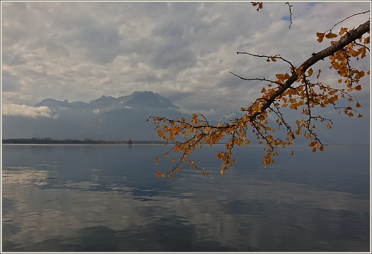 Herbstliches Stimmung am Genfersee mit Blick auf den Grammont, letztes Jahr im November
(03.11.2020)