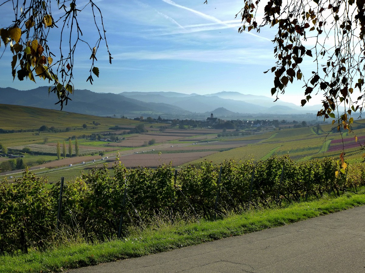 Herbststimmung am Batzenberg mit Blick zum Weinort Kirchhofen im Markgrflerland, Okt.2014 