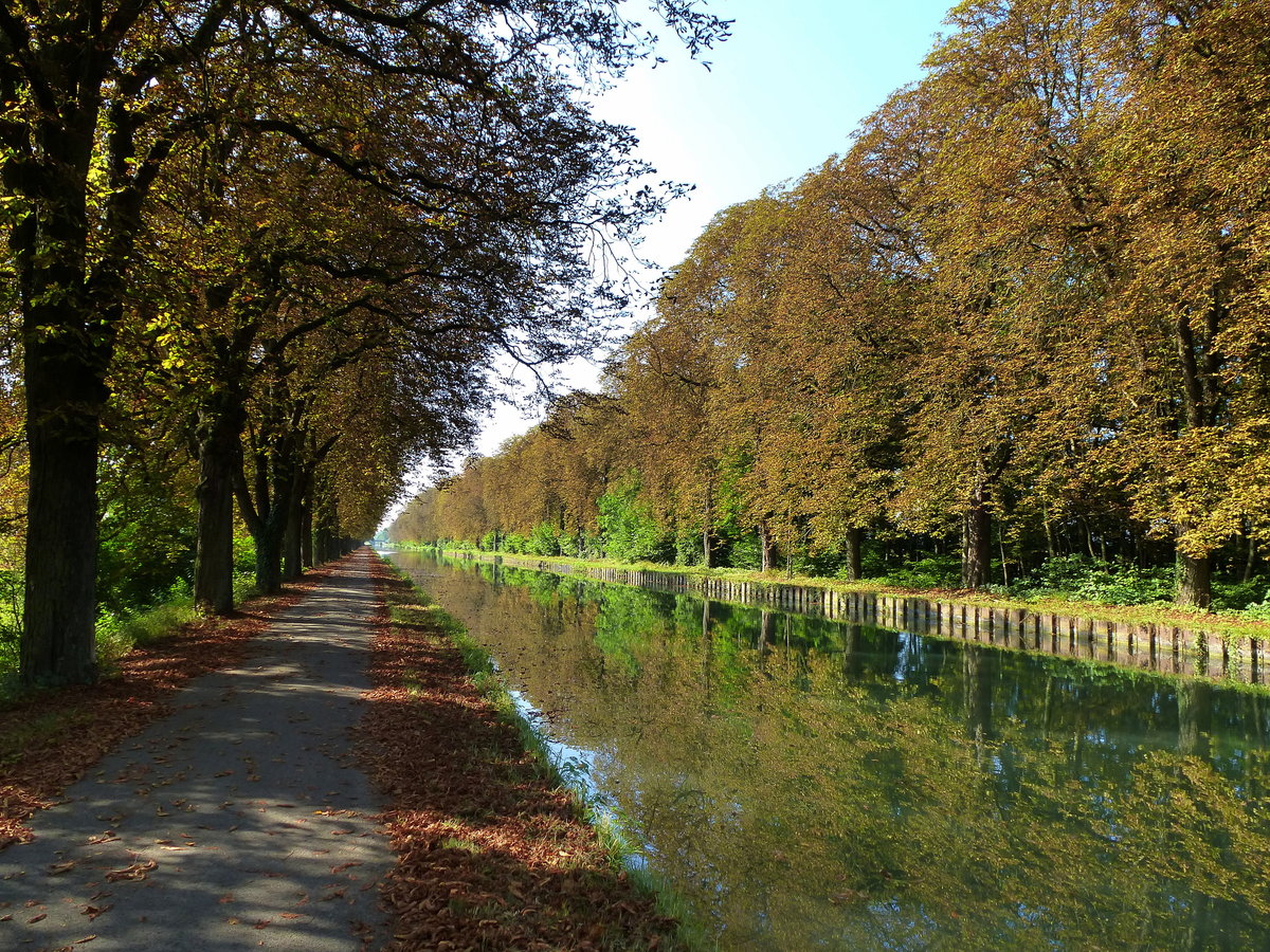 Herbststimmung am Rhein-Rhone-Kanal im Elsa, Sept.2016