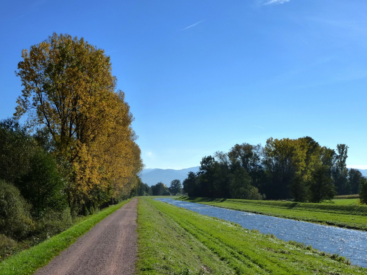 Herbststimmung an der Dreisam bei Neuershausen, im Hintergrund der Schwarzwald, Okt.2013