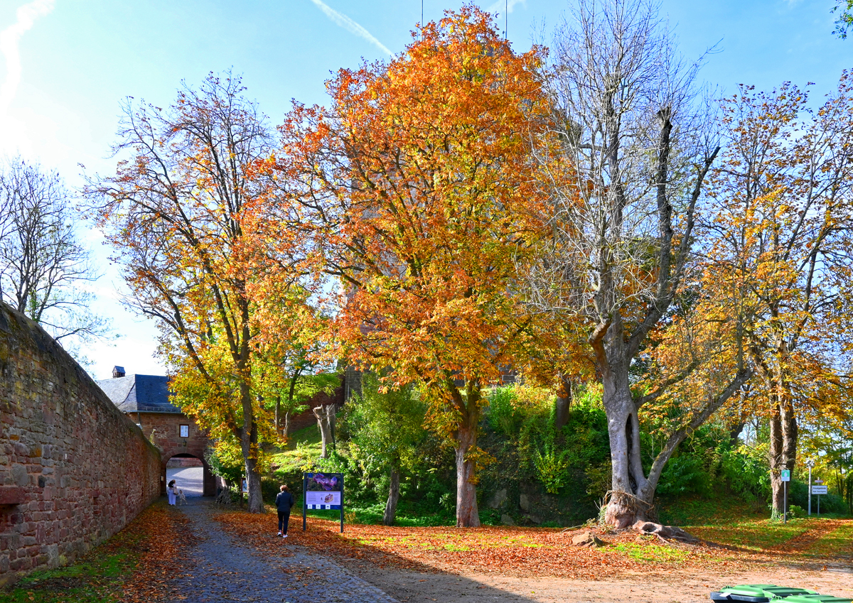 Herbststimmung auf der Burg Nideggen - 29.11.2021