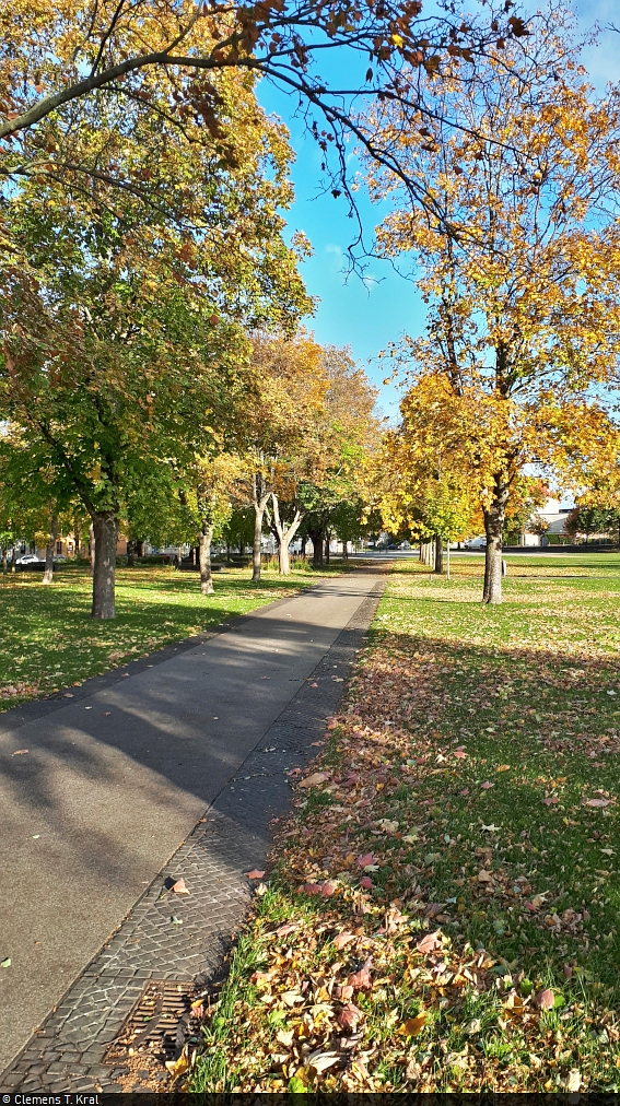 Herbststimmung auf der Herrenbreite in Aschersleben.

🕓 22.10.2021 | 9:41 Uhr